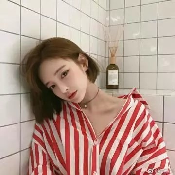 兔子镇的火狐狸